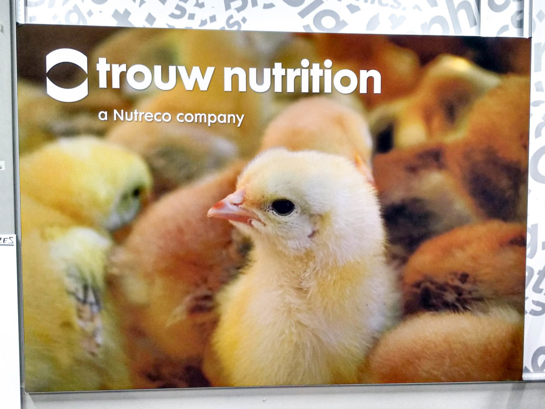 Fabric Banner for Trouw Nutrition