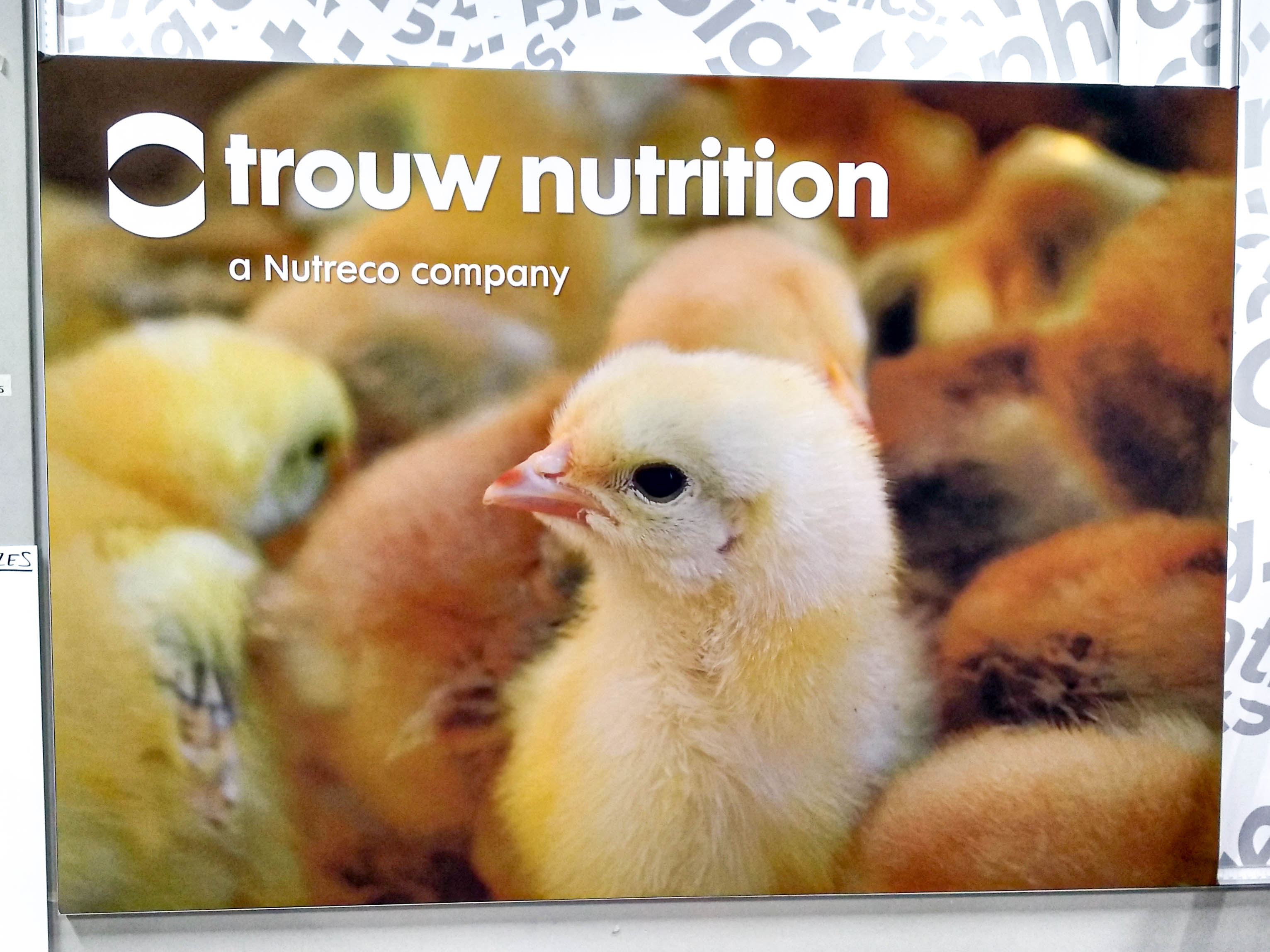Fabric Banner for Trouw Nutrition