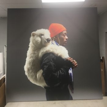 Man with polar bear stuffed animal printed graphic