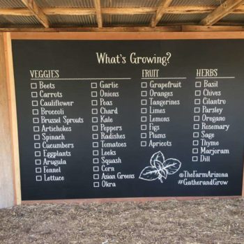 Chalkboard wall mural for what's growing at 
