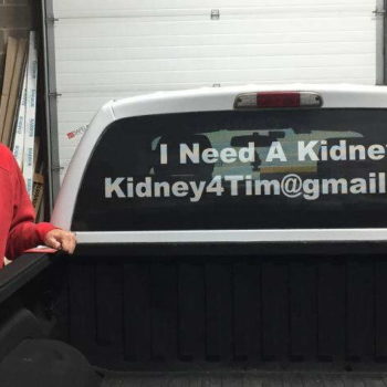 I Need a Kidney car decal