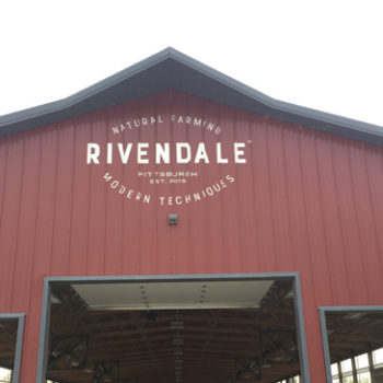 Rivendale logo on barn