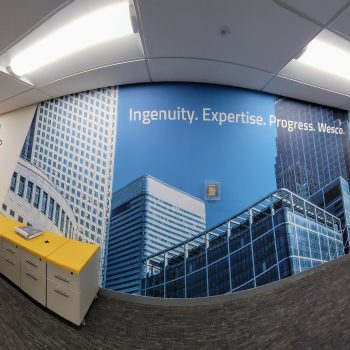 wall mural, indoor graphics, office mural, wall covering, corporate branding, logo graphic