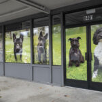 BARC Animal Hospital_Window Graphics
