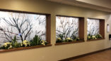 frosted window film Madison WI