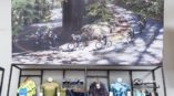 Bicycle shop POP display