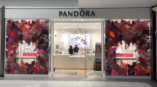 contour cut window graphics
