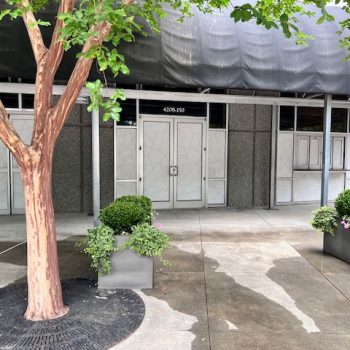 Frosted geometric window film applied to glass doors and windows in Raleigh, NC.