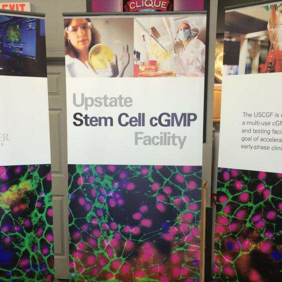 Three retractable banner stands for University of Rochester upstate stem cell facility