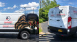 Vehicle wrap on side and back of van for target pest control 