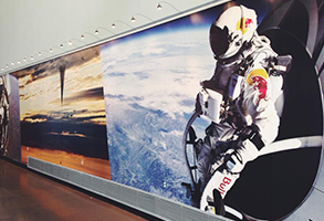 Wall Murals
