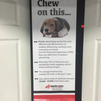 Banner displaying a dog