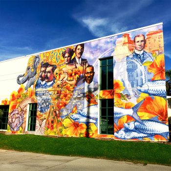 SpeedPro Saint Louis Missouri Outdoor Wall Mural for Businesses