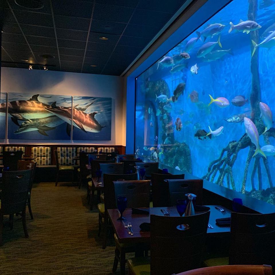 backlit mural of fish under water