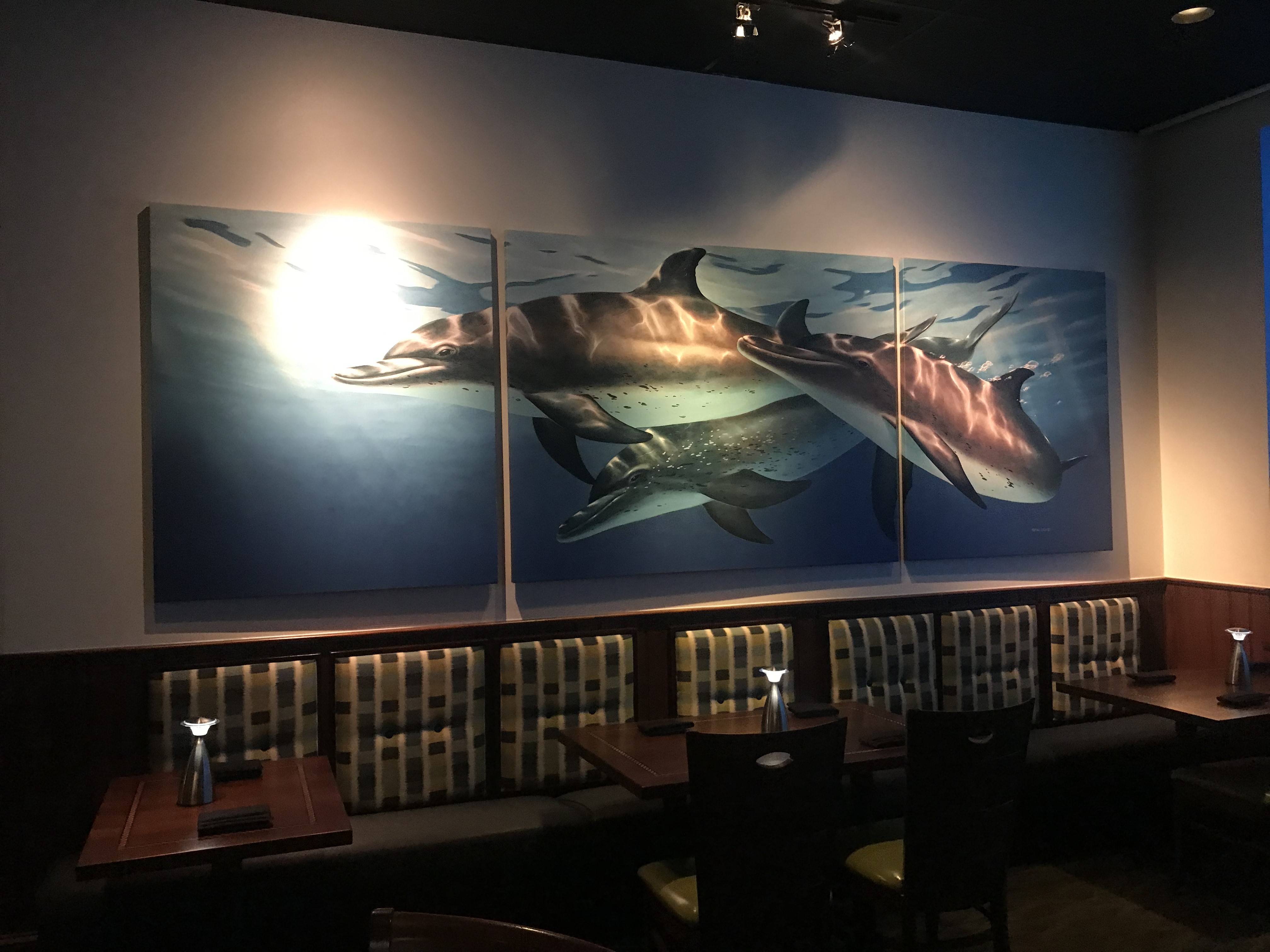 three canvas banners of dolphins