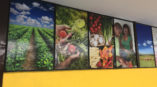 wall banners with images of vegetables, crops, and farm land