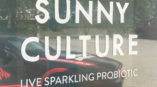 window graphic for Sunny Culture