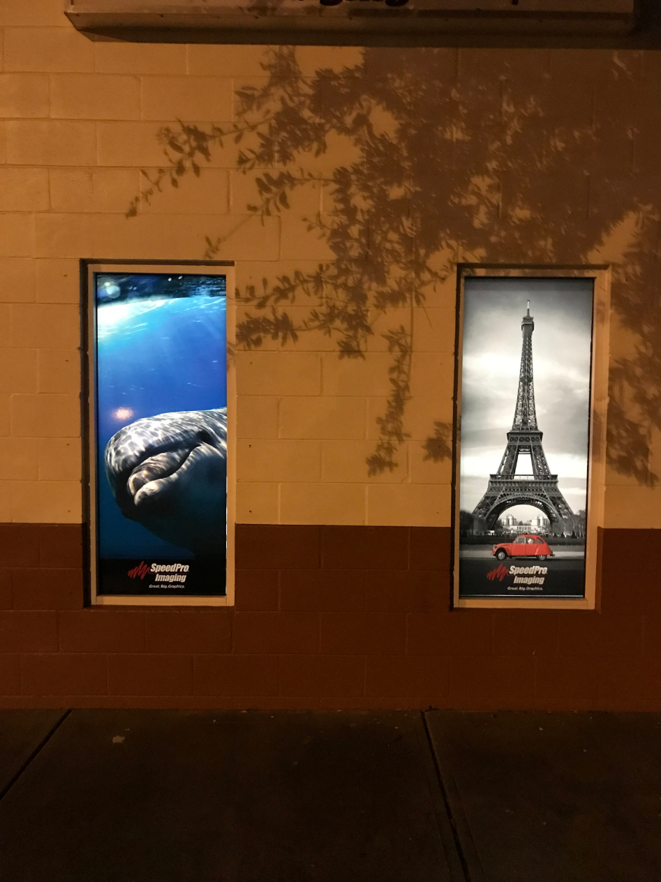 two backlit graphics of dolphin and eiffel tower