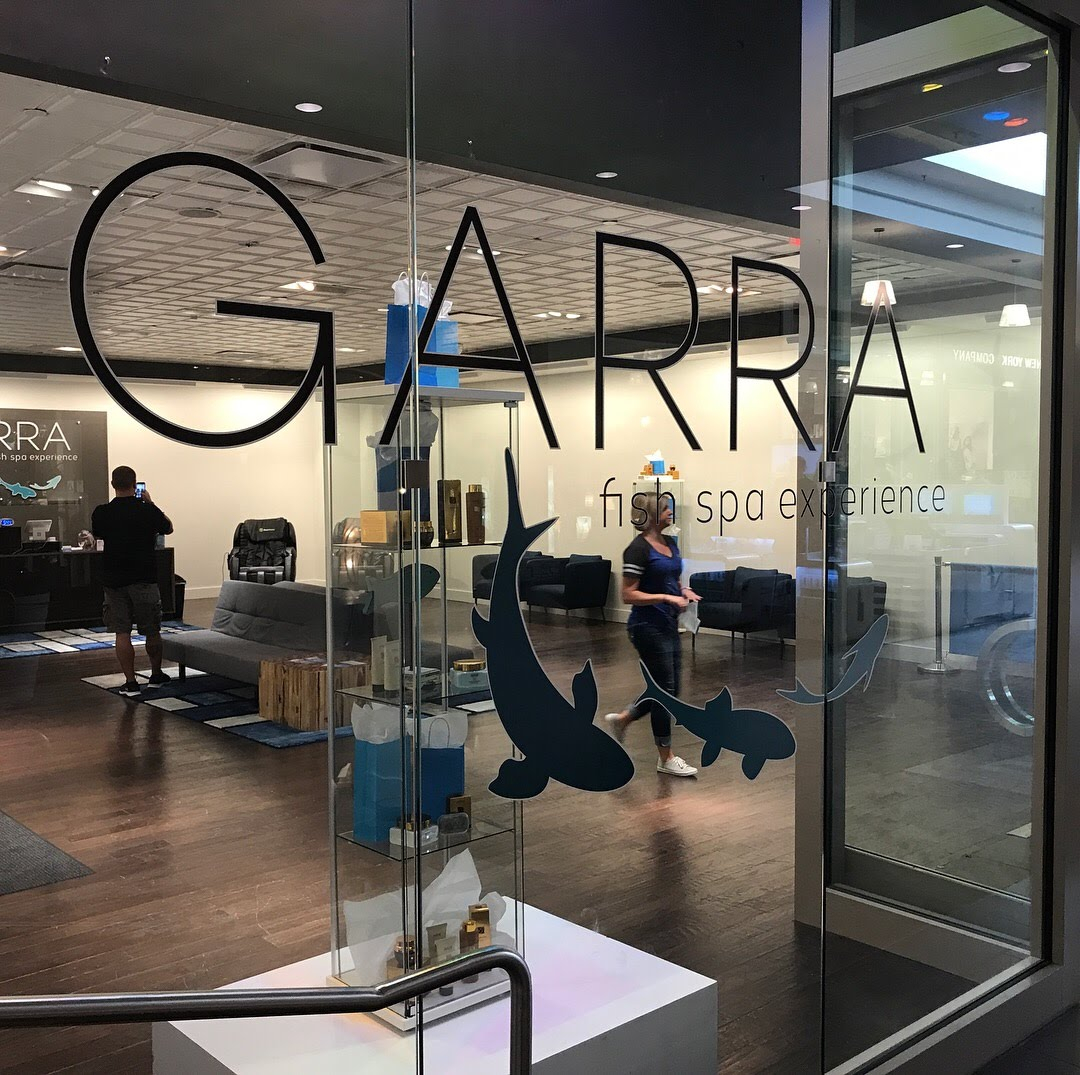 window graphic for garra fish spa experience