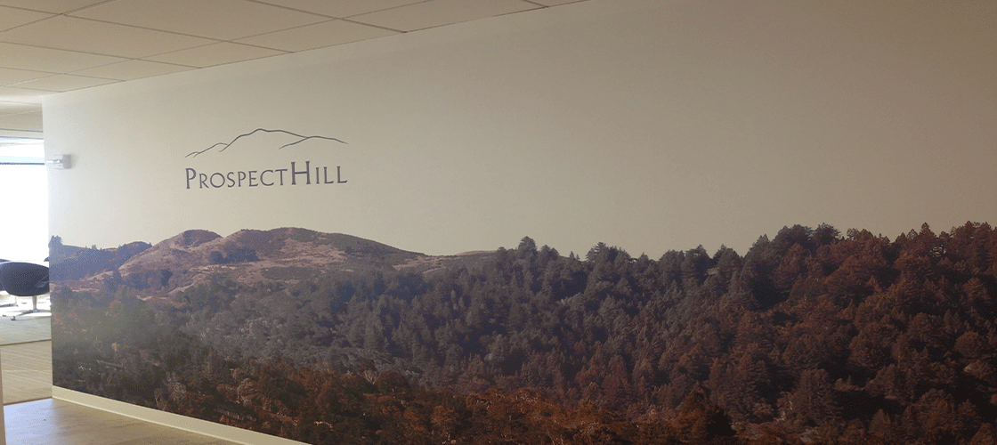 Prospect hill wall mural