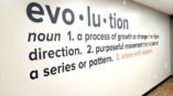 evolution wall graphic