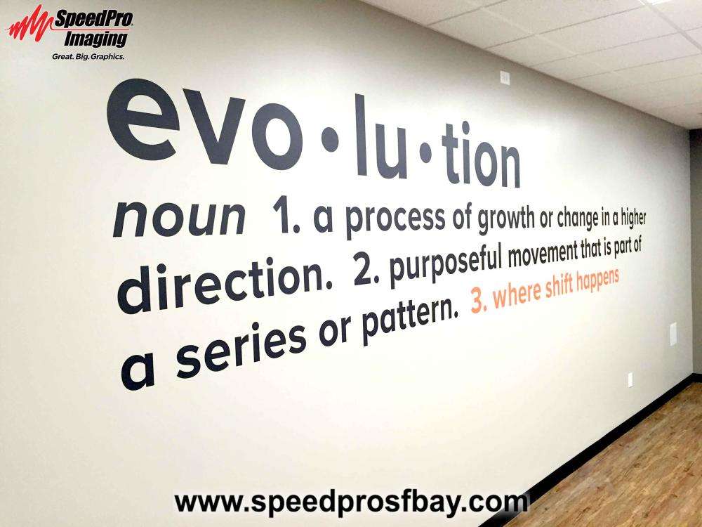 evolution wall graphic