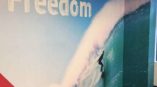 Freedom surfing wall mural