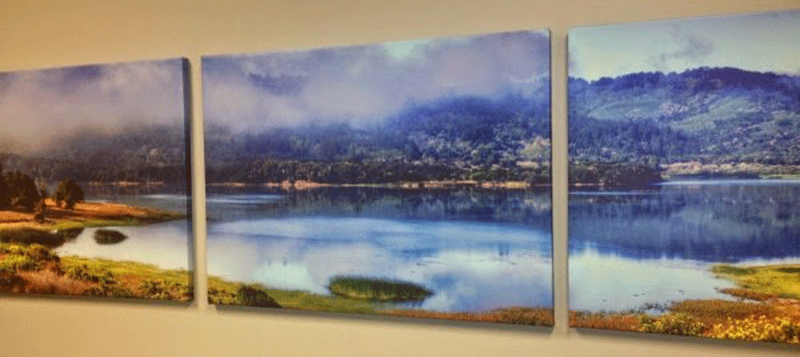 printed canvas with internal frame