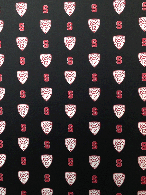 Stanford university backdrop