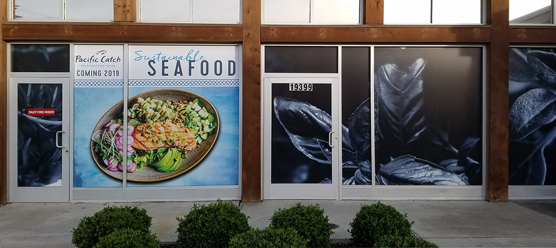pacific catch window wraps
