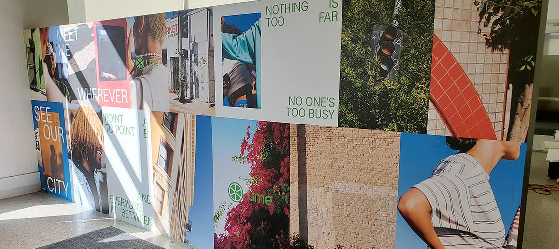 Lime wall posters and pictures