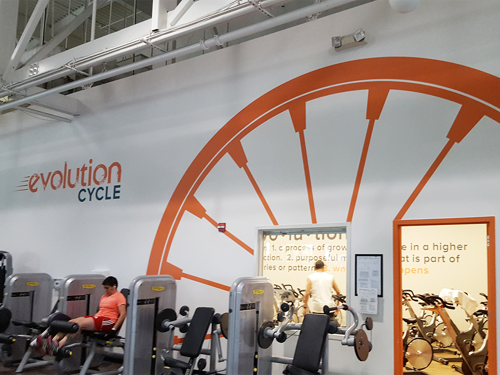 Cut vinyl wall graphic at PJCC by SpeedPro of SF Peninsula