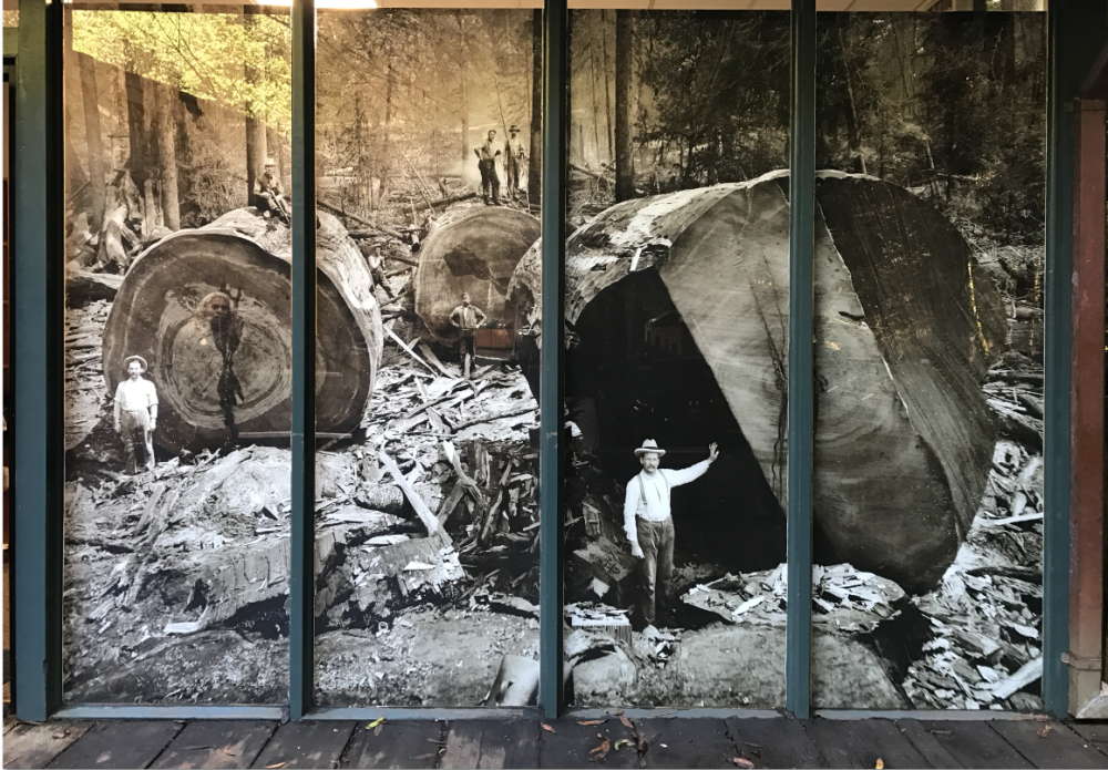 Logging window mural