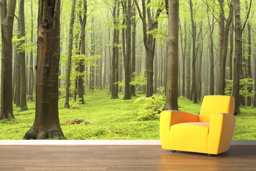 Forest Tree Wall Mural