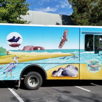 Wildlife-themed vehicle wrap
