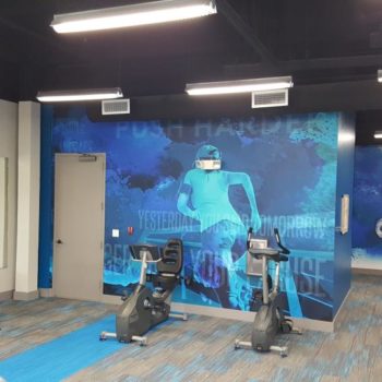 Wall murals in gym