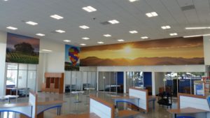 Manly Honda Sunset & Balloon Walls