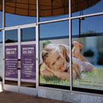 window graphic of small girl