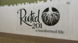 Rooted 201 wall mural