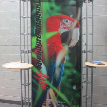 Printed parrot poster display