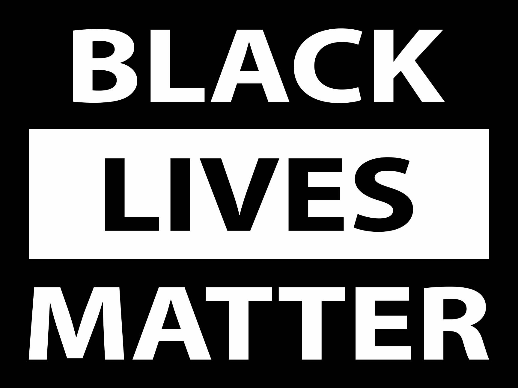 18" x 24" coroplast sign (Black Lives Matter)