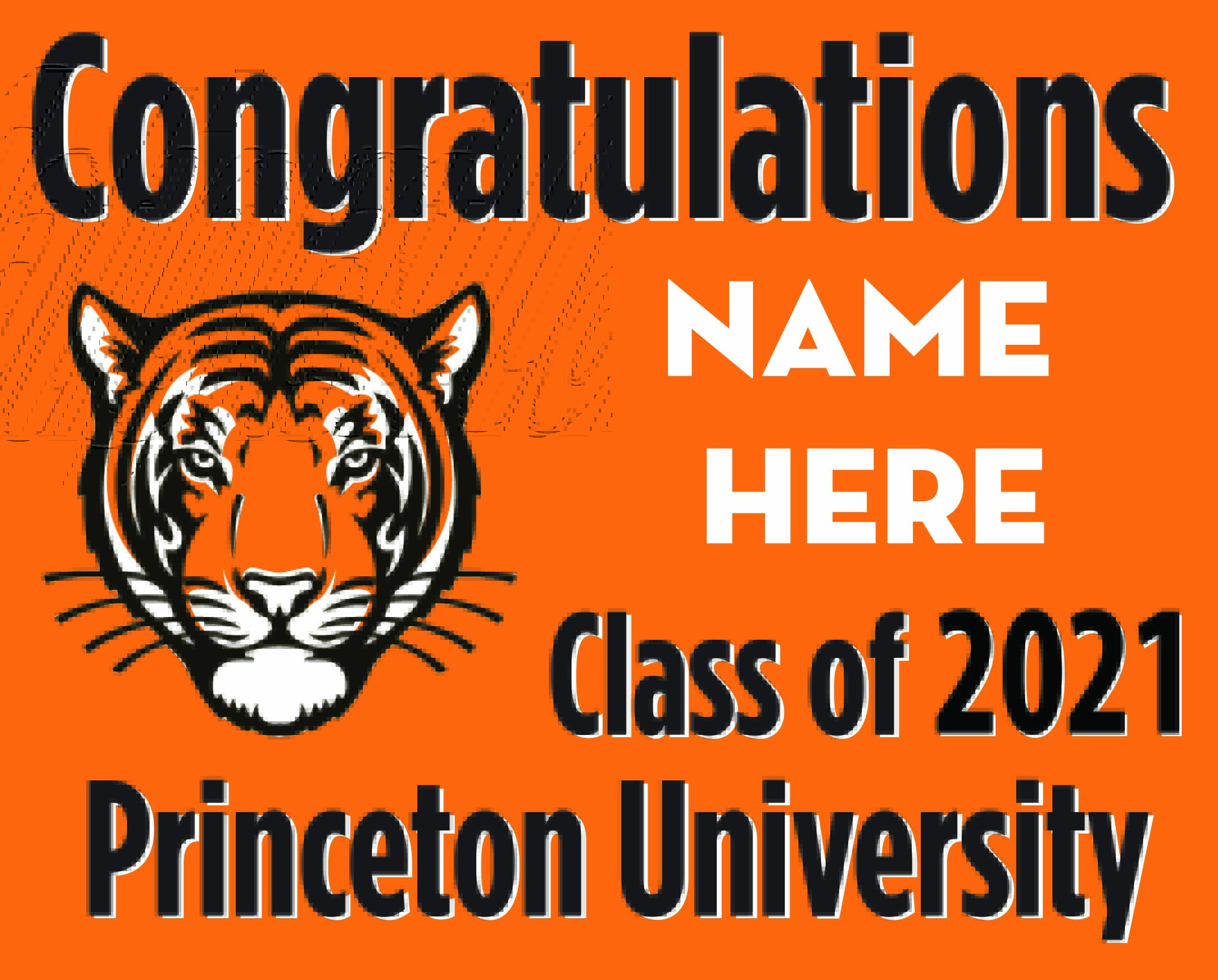 Princeton University Sign (Coroplast) single-sided 24" x 30"     Please insert "Name" in notes on the right 