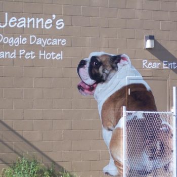 Jeanne's Doggie Daycare outdoor signage