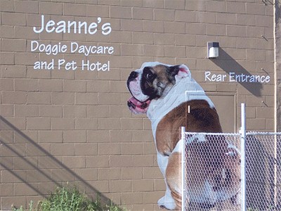 Jeanne's doggie daycare and pug backside on brick wall
