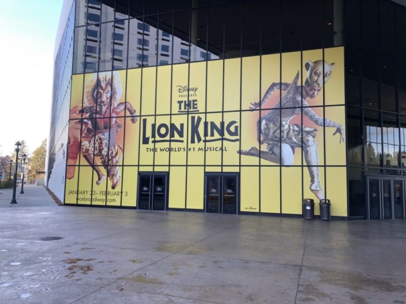 Lion King window graphics