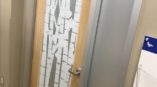 Bamboo etched glass door