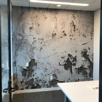 Wall mural of paint chipping off of a wall in an office space created by SpeedPro 
