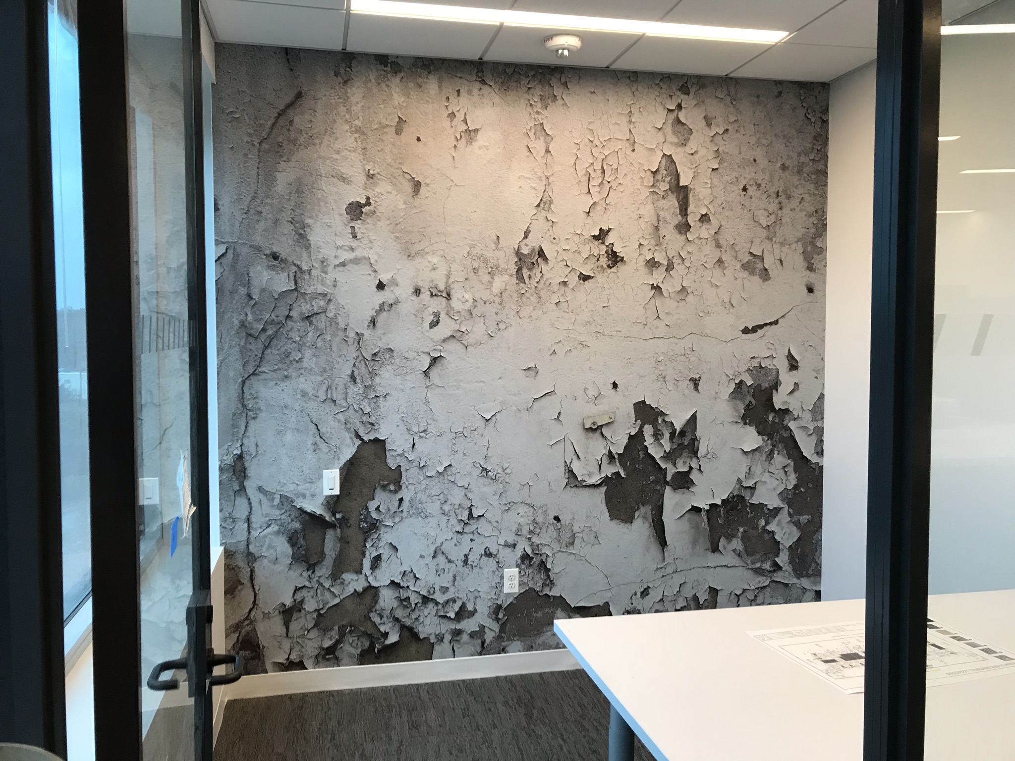 Wall mural of paint chipping off of a wall in an office space created by SpeedPro 