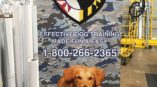 Blue Line K-9 banner stand