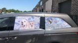 Dog trainer vehicle wrap